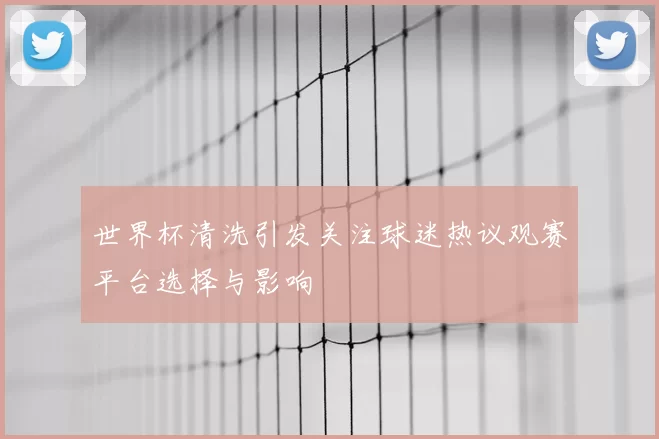 世界杯清洗引发关注球迷热议观赛平台选择与影响