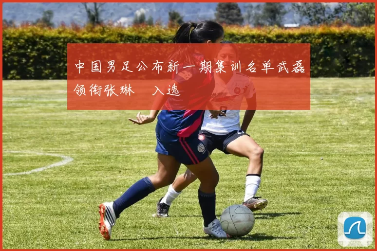 中国男足公布新一期集训名单武磊领衔张琳芃入选