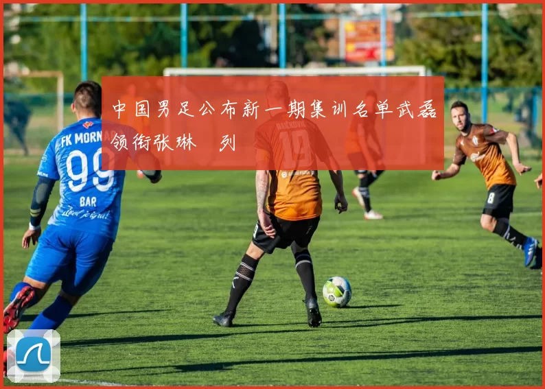 中国男足公布新一期集训名单武磊领衔张琳芃列