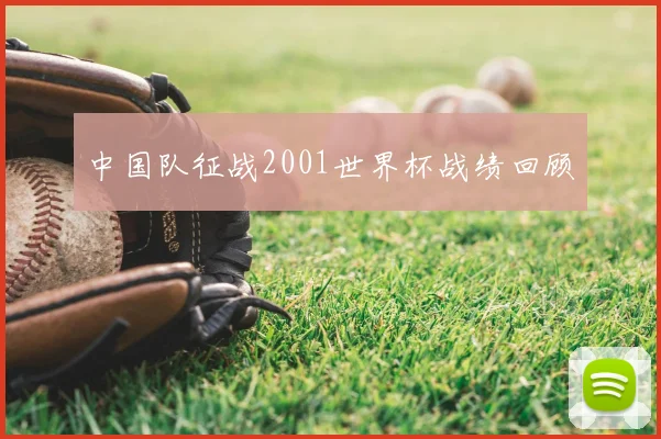 中国队征战2001世界杯战绩回顾