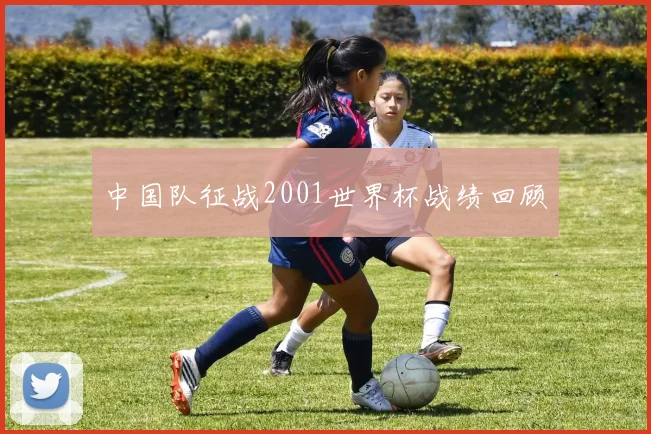 中国队征战2001世界杯战绩回顾