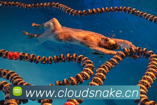 168直播 - 168直播间 - 足球直播 - 篮球直播 - 168体育直播在线观看APP 封面图